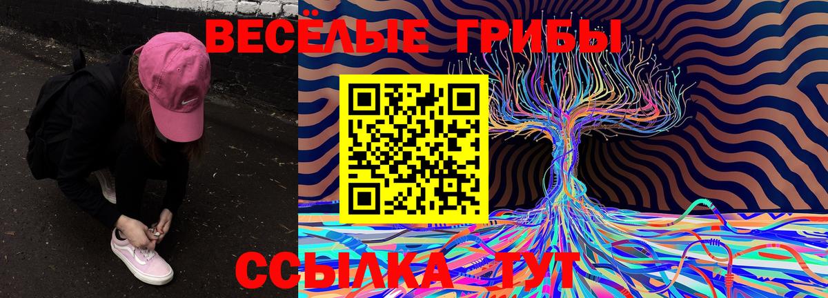 Псилоцибиновые грибы мицелий Ейск