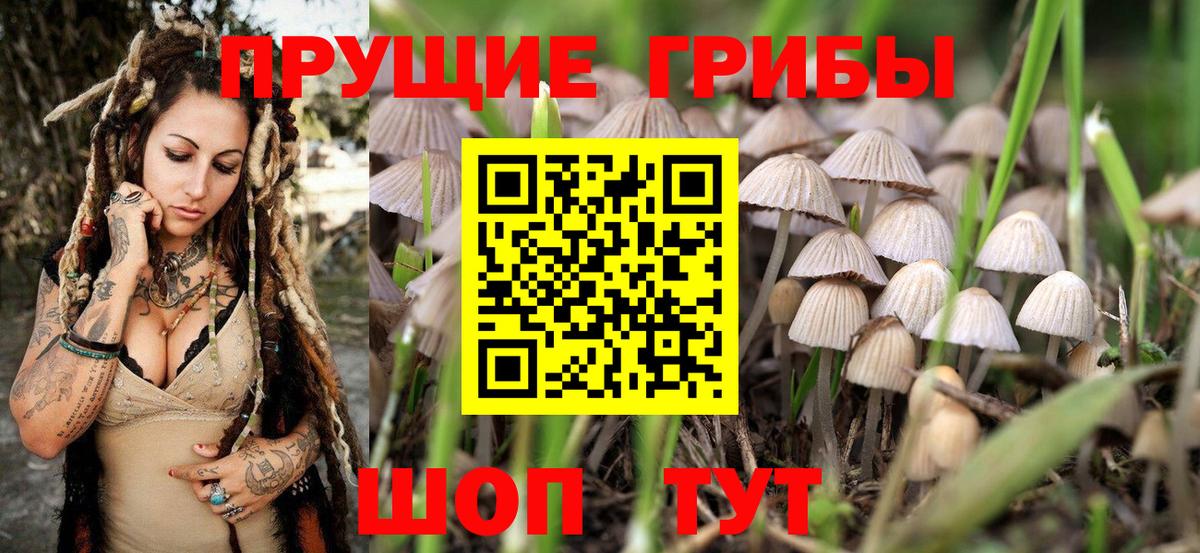Ейск  Псилоцибиновые грибы GOLDEN TEACHER  Вход с VPN 